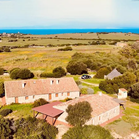 Economy Aglientu * Vignola Mare